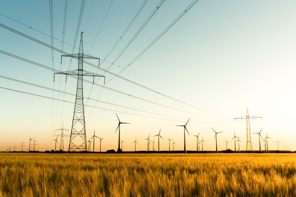 Strommasten, Kornfeld und Windräder im herbstlichen Gegenlicht